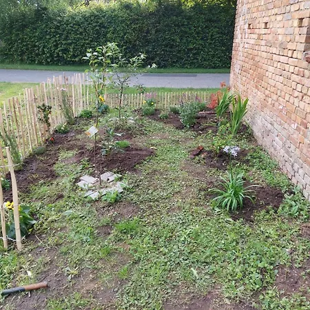 Sommer Linden Deyelsdorf