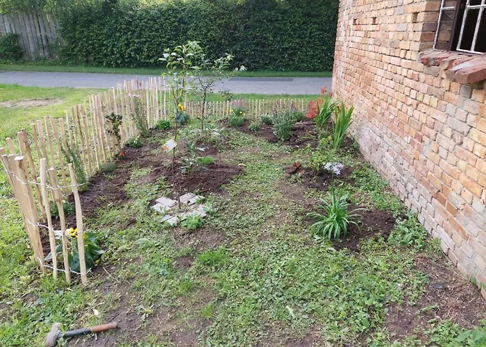 Sommer Linden Deyelsdorf